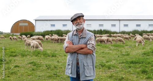 Portrait of Caucasian old smiled happy man with beard and in hat posing to camera with crossed hands and smiling. Gray-haired male farmer standing at field pasture with sheep grazing on background.