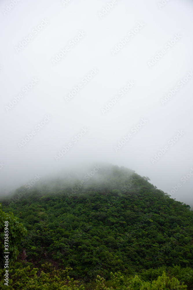 beautiful Cloudy wooded mountains landscape
