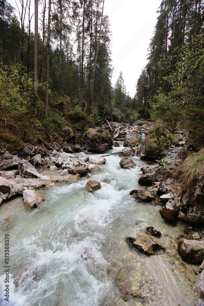 Wildbach Wildbach