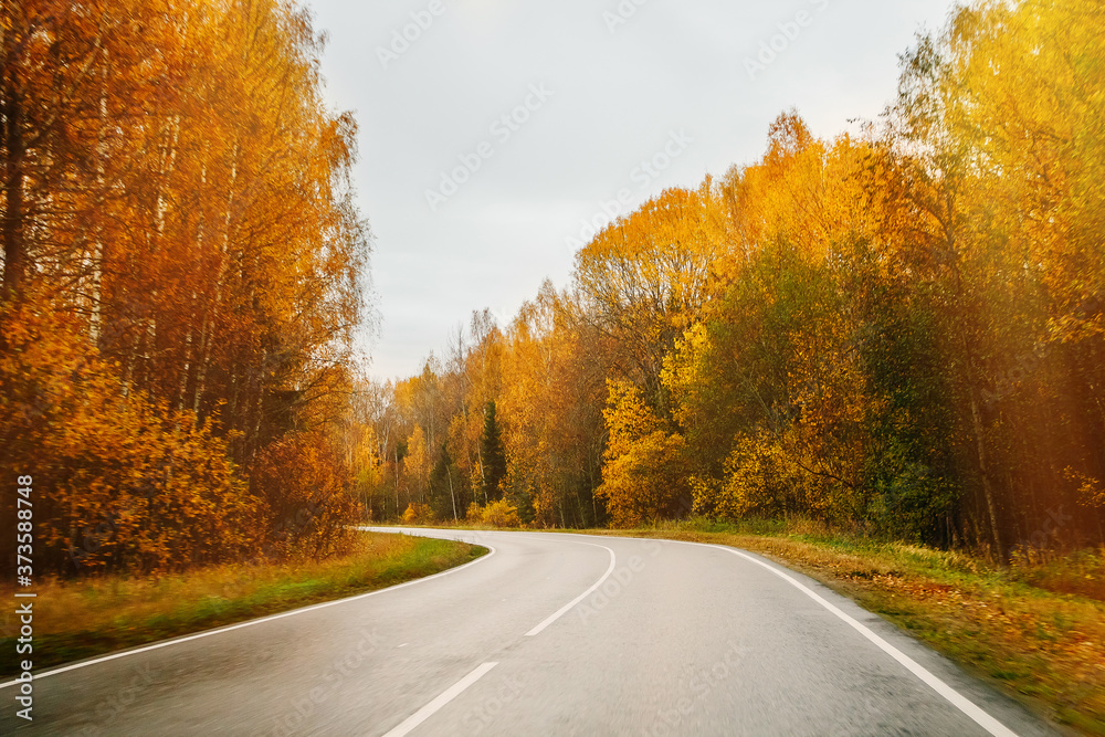 Empty road among the autumn forest. Beautiful rainy landscape.