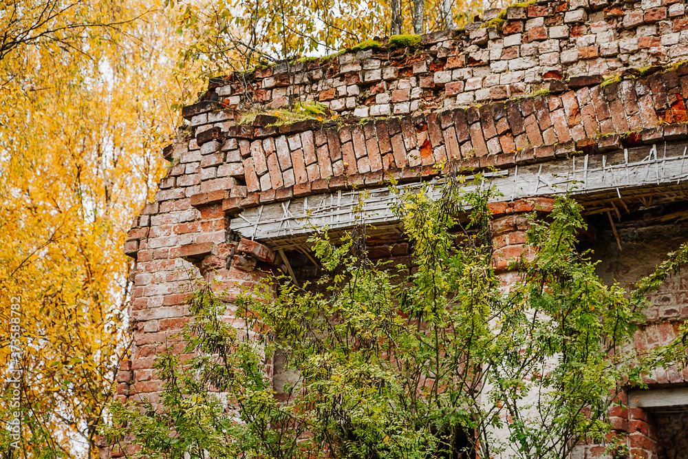 Obraz premium Old abandoned stone house in the autumn forest. The ruins of ancient building