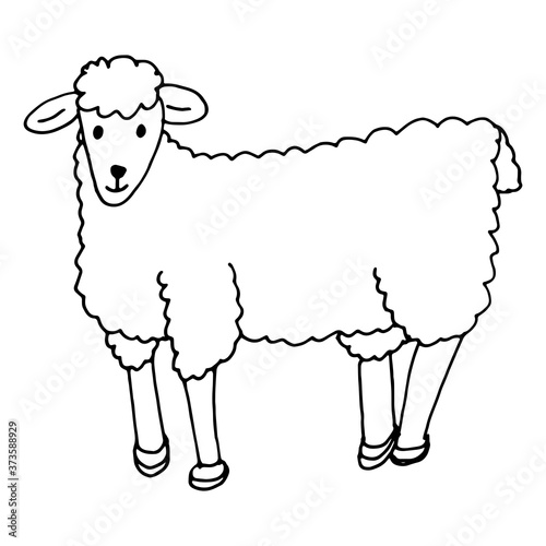 A simple sketch of a lamb, drawn in a childish doodle style.