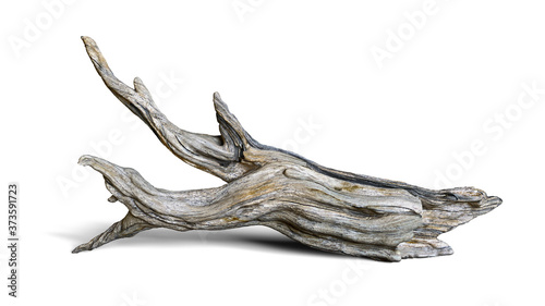 driftwood isolated on white background, aged branch photo