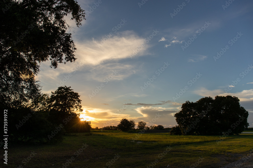 Sunset in a field in New Orleans, Louisiana