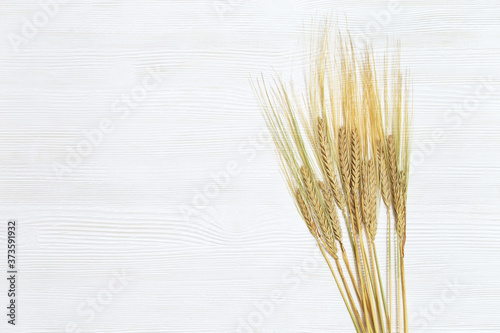 Spike of rye close up. Cereal crop. Rustic style. Rich harvest creative concept. Top view and copy space.