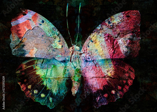 Grunge butterfly colorful