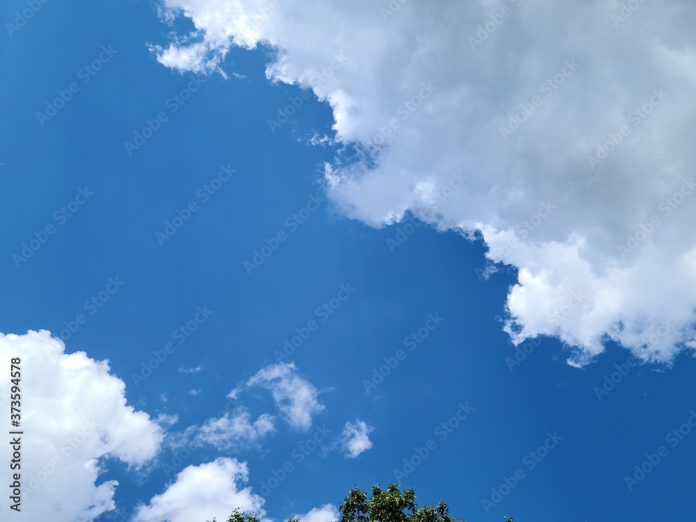 Landscape Landscape