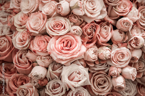 Fototapeta Naklejka Na Ścianę i Meble -  Roses wall background. Nature, fresh pink wedding flowers