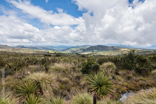 Choachi  Colombia Landscape of Colombian Andean mountains showing paramo type vegetation. Park Called Paramo Matarredonda near Bogota 
