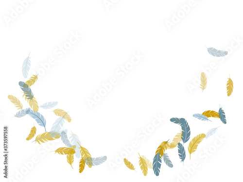 Falling feather elements soft vector design.