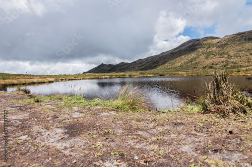 Choachi, Colombia Landscape of Colombian Andean mountains showing paramo type vegetation. Park Called Paramo Matarredonda near Bogota
 photo