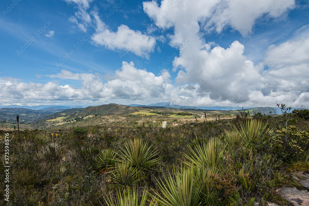 Choachi, Colombia Landscape of Colombian Andean mountains showing paramo type vegetation. Park Called Paramo Matarredonda near Bogota
