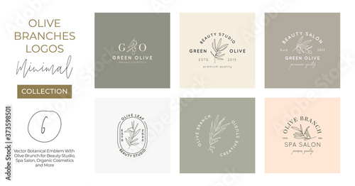 Set of Olive branch with leaves logo design template in simple minimal linear style. Abstract Feminine Vector Signs with Floral Illustration for Beauty Studio, SPA, Organic cosmetics, studio