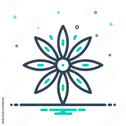 Mix icon for star anise