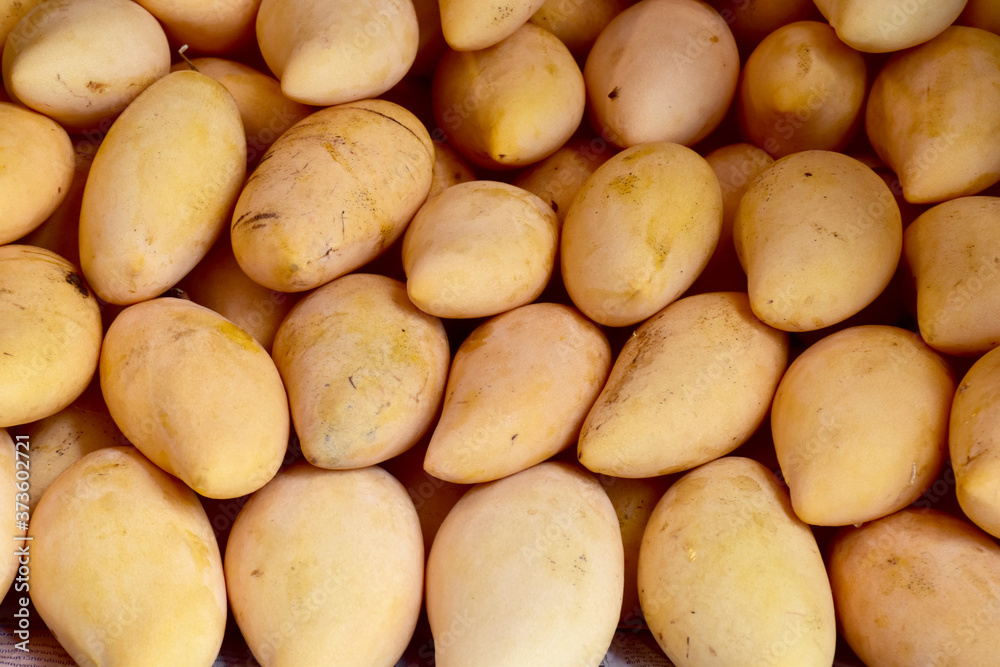 Closeup of Many Ripe Mangoes for sale on a market in Thailand. Closeup of Many Ripe Mangoes for sale on a market in Thailand.