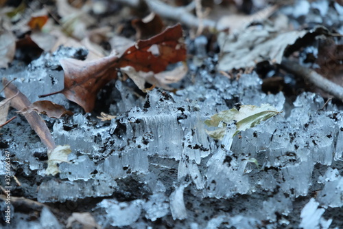 秋山の霜柱。高尾山、陣馬山。Frost pillar on cold autumn ground, Japan 