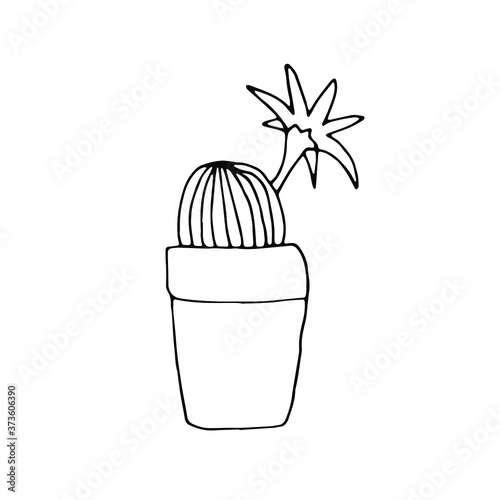 drawn single cactus black and white logo.In doodle style, black outline isolated on white background. Cute element for card, social media banner, sticker, print, decoration kids playroom