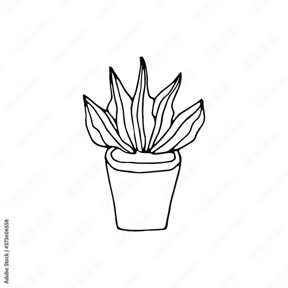 Single hand drawn plant. hand drawn succulent plant in a pot on a white background. logo drawn flower in a pot on a white background.single succulent flower icon