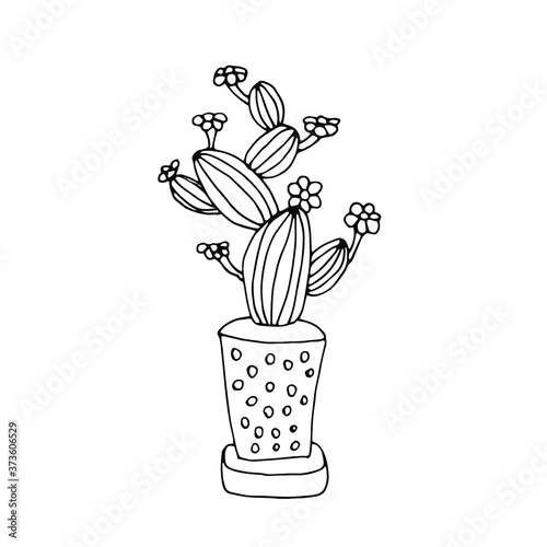 drawn single cactus black and white logo.In doodle style, black outline isolated on white background. Cute element for card, social media banner, sticker, print, decoration kids playroom