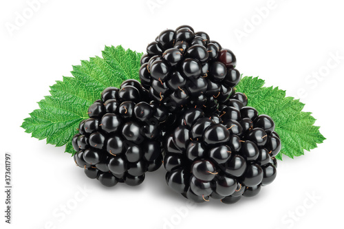 blackberry with leaf isolated on a white background closeup. Clipping path and full depth of field