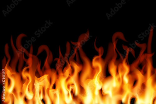 Realistic fire on a black background.