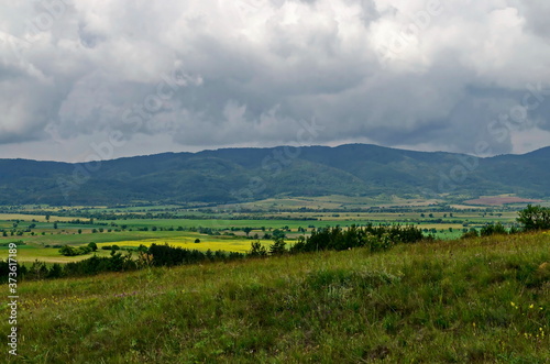 Coniferous and deciduous trees, agricultural fields and fresh meadows with different grass with flowering wild flowers between Plana, Rila and Verila mountains, Bulgaria   photo