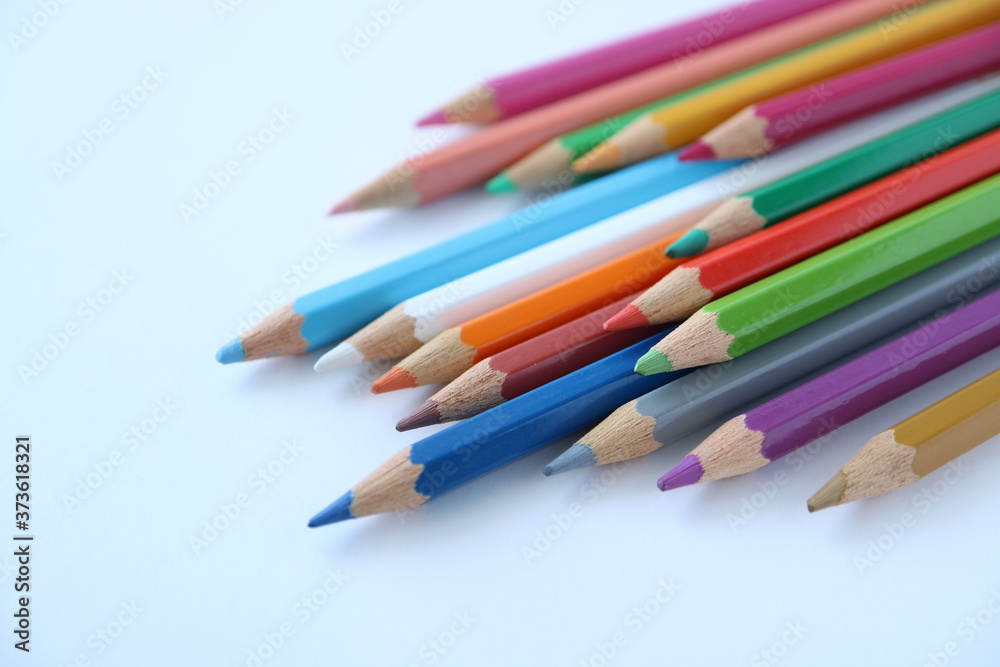 塗り絵 塗り絵