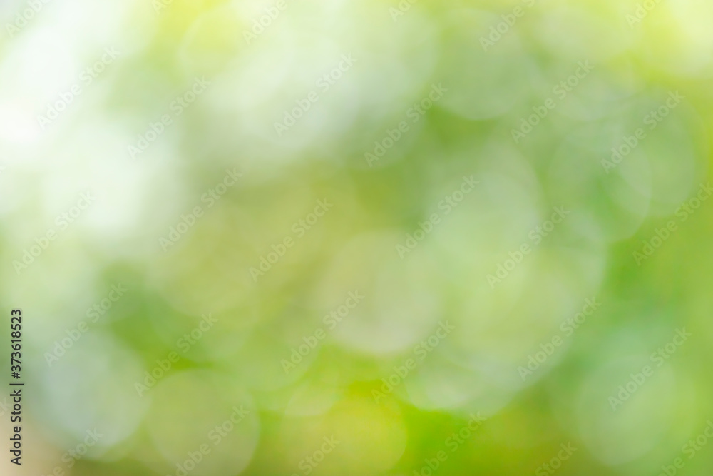 Abstract blurred bokeh of nature for background