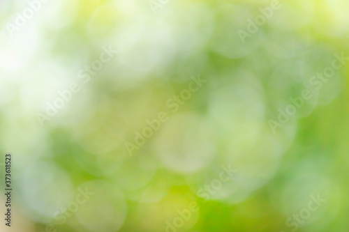 Abstract blurred bokeh of nature for background