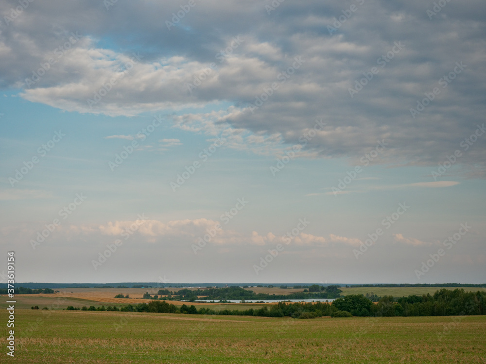 Summer Landscape with Wheat Field and Clouds Summer Landscape with Wheat Field and Clouds