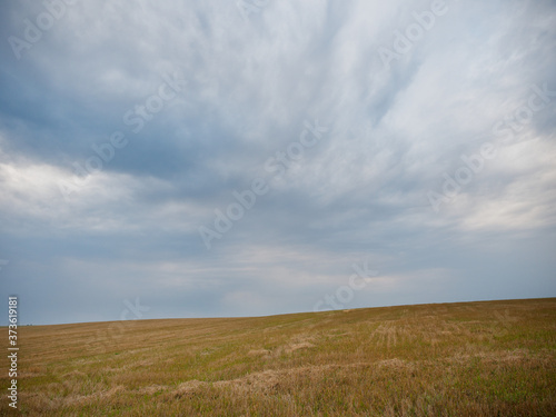 Summer Landscape with Wheat Field and Clouds