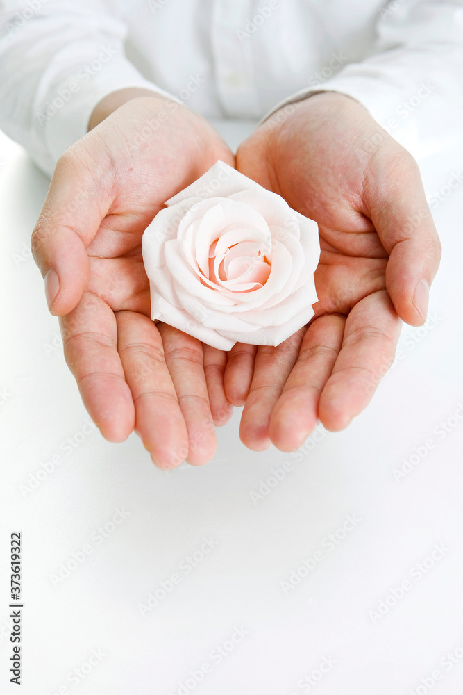 man holding pink rose man holding pink rose