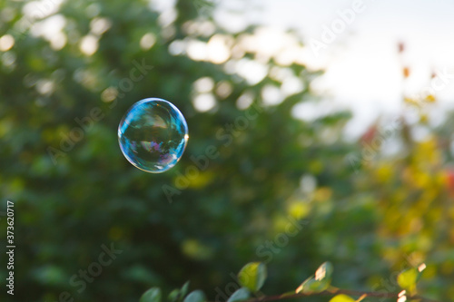 soap bubble flying over the meadow