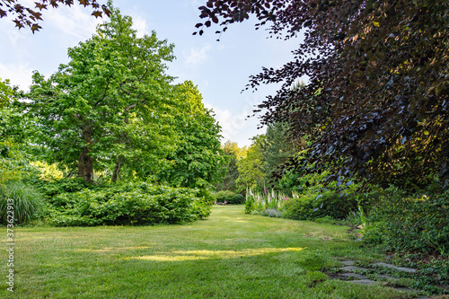 The lawn meanders between the various bushes with trees in a multitude of leaf shades in this beautifully landscaped garden with a great diversity of trees and flowering shrubs photo