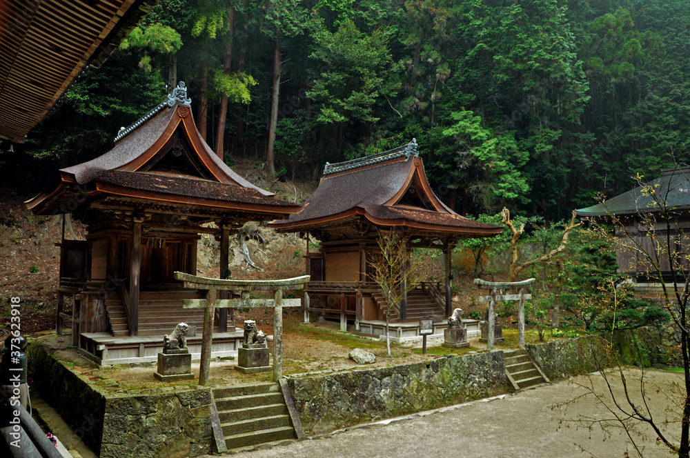 Small wooden buddhist temples hidden in woods with big green pines and trees on Mount Shosha, Himeji, Japan
