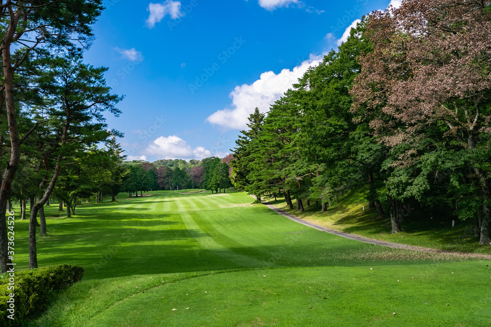 Obraz premium Golf Course with beautiful green field. Golf course with a rich green turf beautiful scenery.