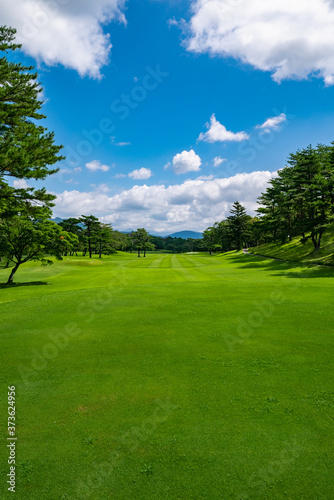 Fototapeta Naklejka Na Ścianę i Meble -  Golf Course with beautiful green field. Golf course with a rich green turf beautiful scenery.