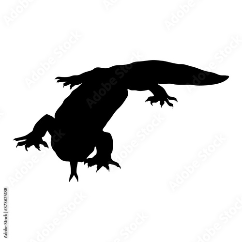 Gila Monster (Heloderma Suspectum) Silhouette Found In Map Of  North America photo