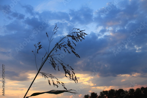 
clouds in the red sunset of a summer evening