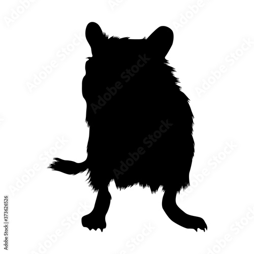 Gerbil (Gerbillinae) Silhouette Found In Africa,Asia And Middle East