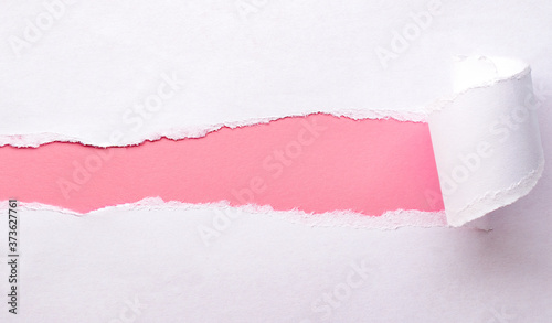 Wallpaper Mural a torn piece of white paper, inside a pink copy space Torontodigital.ca