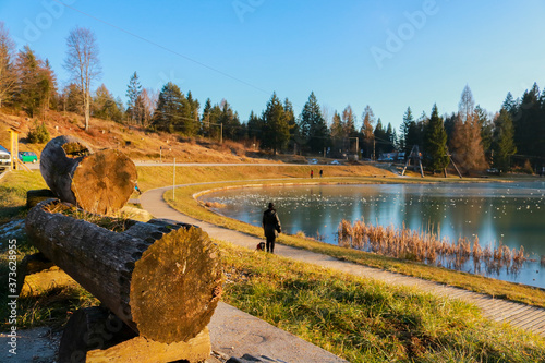 Laghetto ghiacciato di Roana sull'Altopiano di Asiago con il riflesso delle piante al tramonto, paesaggi e natura d'inverno in Veneto