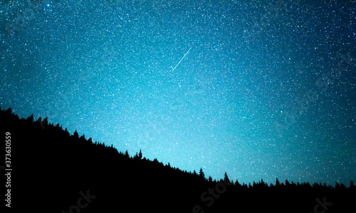 Night starry sky against the background of the fir forest.