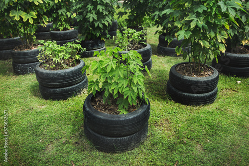 recycle tyre rubber to control tree outdoor