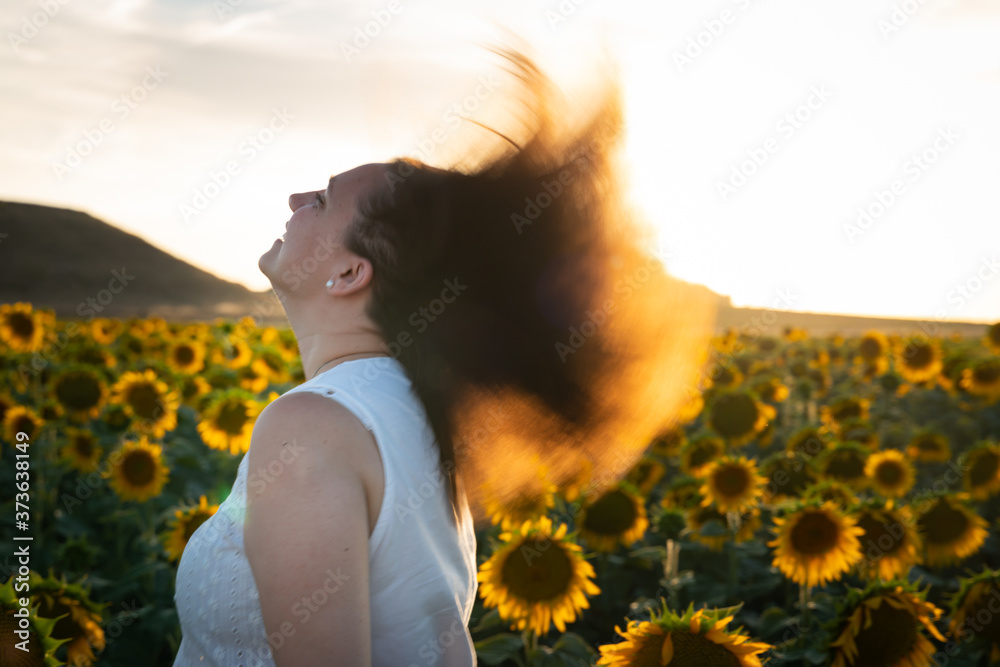 field of sunflowers near the castle of Peñafiel