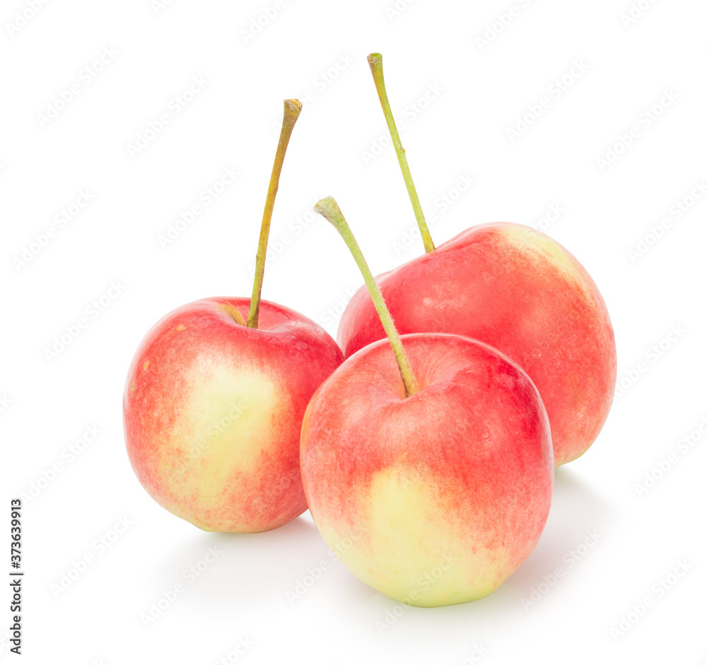 Wild red apples isolated on white background Wild red apples isolated on white background