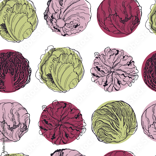 Hand drawn different kinds of lettuce on white background.  Vector  seamless pattern.