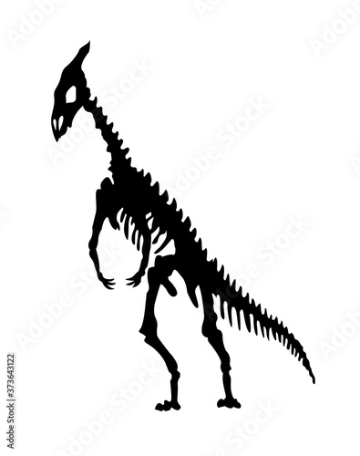 Vector silhouette of dinosaurs skeleton. Hand drawn dino skeleton. Dinosaur bones, exhibit fossils in the museum