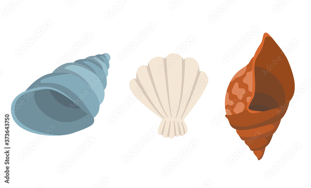 Colorful tropical sea shells underwater icon collection. Marine set cute stickers on the white background. Vector illustration. Perfect for invitations, greeting cards posters banners and flyer Colorful tropical sea shells underwater icon collection. Marine set cute stickers on the white background. Vector illustration. Perfect for invitations, greeting cards posters banners and flyer