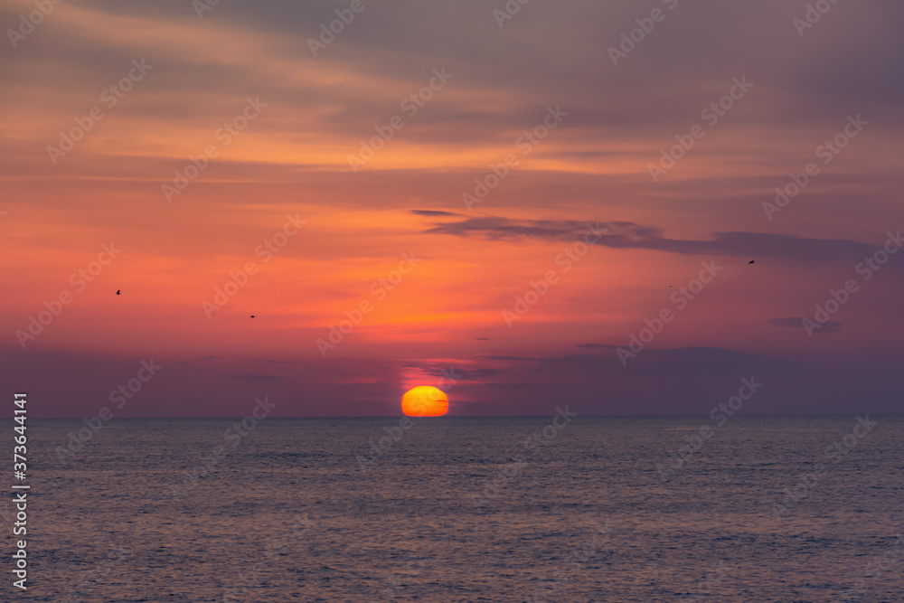 Pink sunset on the sea. The huge red sun sets on the horizon. Empty horizon. Scarlet clouds and gulls in the sky. Colorful natural background